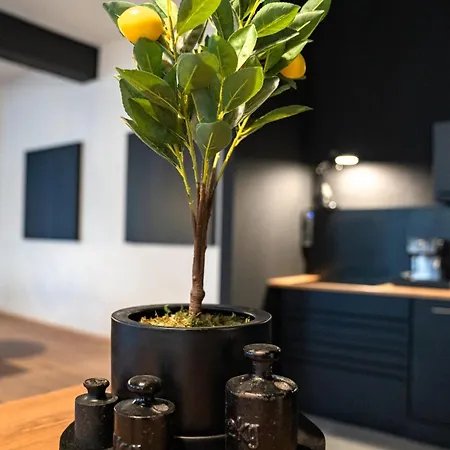 Apartmán Design Loft - Heimkino - Zentral - Parkplatz - Tischkicker - Kueche Wiesbaden