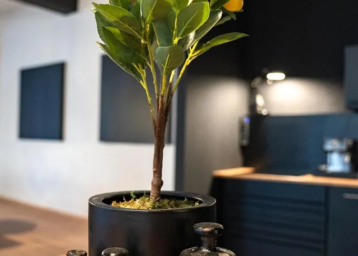 شقة Design Loft - Heimkino - Zentral - Parkplatz - Tischkicker - Kueche فيسبادن